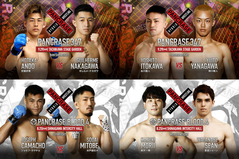 【PANCRASE】9.29立川で安藤武尊vs.ギレルメ・ナカガワ、糸川義人vs.栁川唯人、8.25 品川でカマチョvs.水戸邉、渡邉ショーンvs.森井も