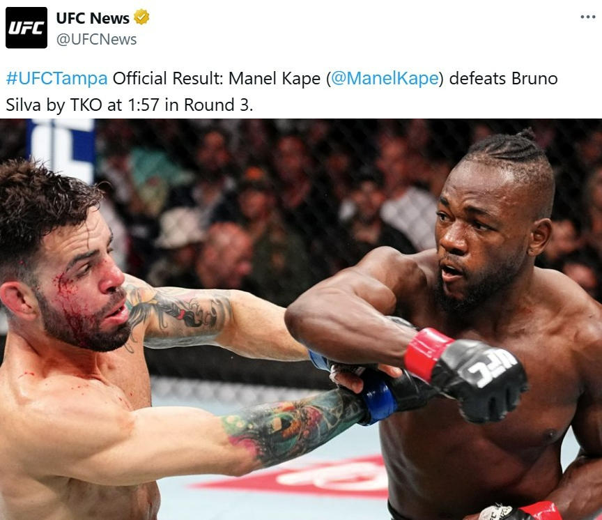 【UFC】マネル・ケイプがキレッキレの動きで4連勝中のシウバを滅多打ちTKO「パントージャを滅ぼせるのは俺だ」