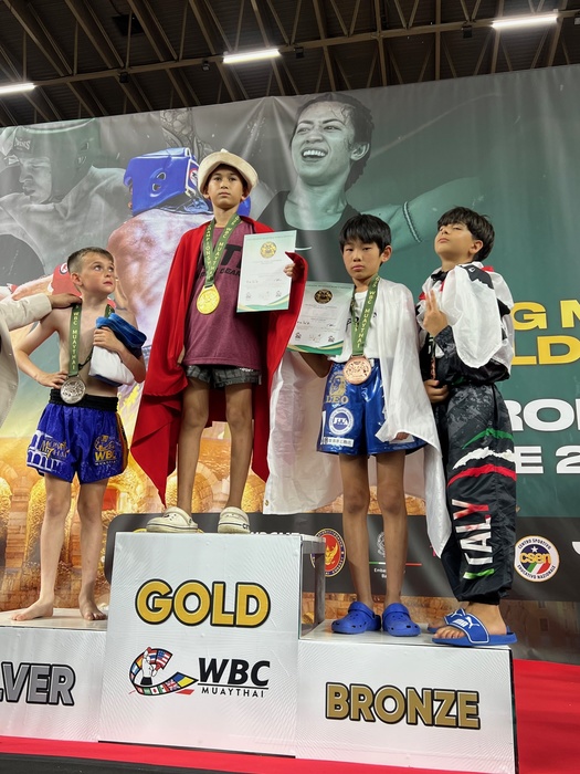 WBC世界シルバータイトル戦 メダル 2025年最新】wbc メダルの人気アイテム - メルカリ